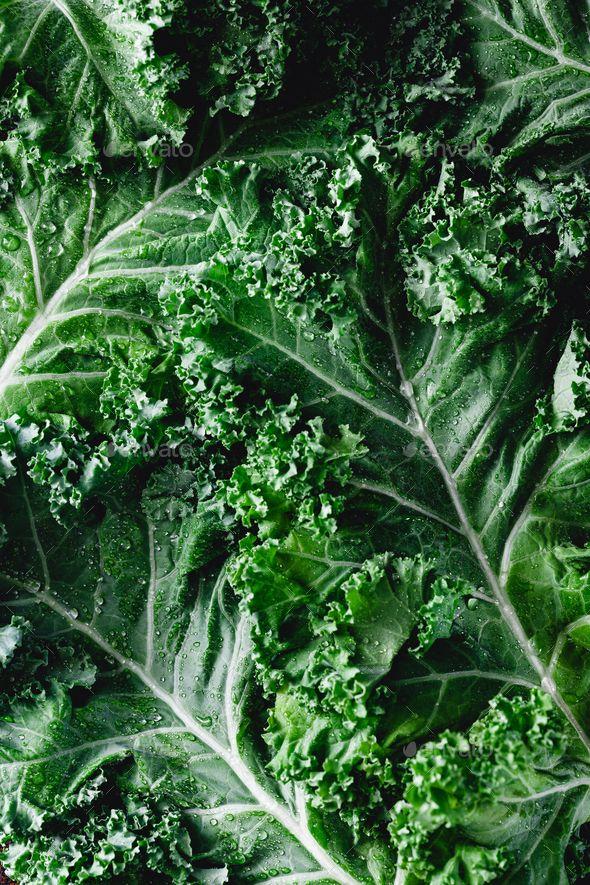 Green Patchwork Veggie Array